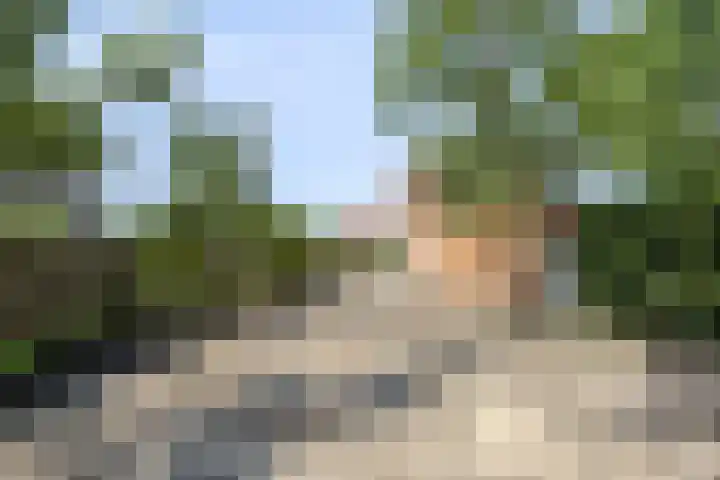Schoolstraat 5 Heikant thumbnail 26