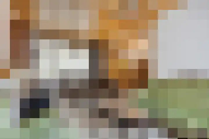 Schoolstraat 5 Heikant thumbnail 4
