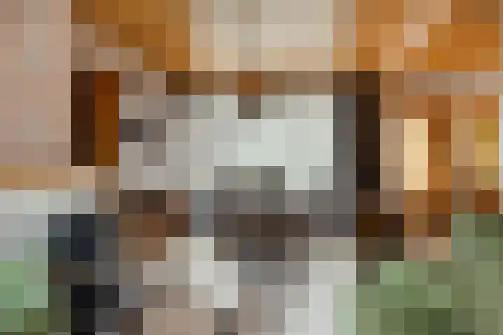 Schoolstraat 5 Heikant thumbnail 5