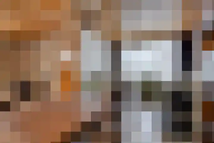 Schoolstraat 5 Heikant thumbnail 6
