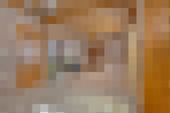 Schoolstraat 5 Heikant thumbnail 9