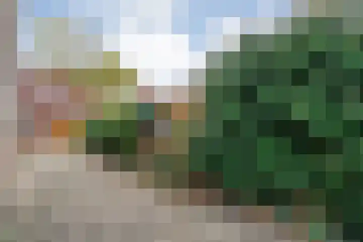 Schoolstraat 5 Heino thumbnail 23