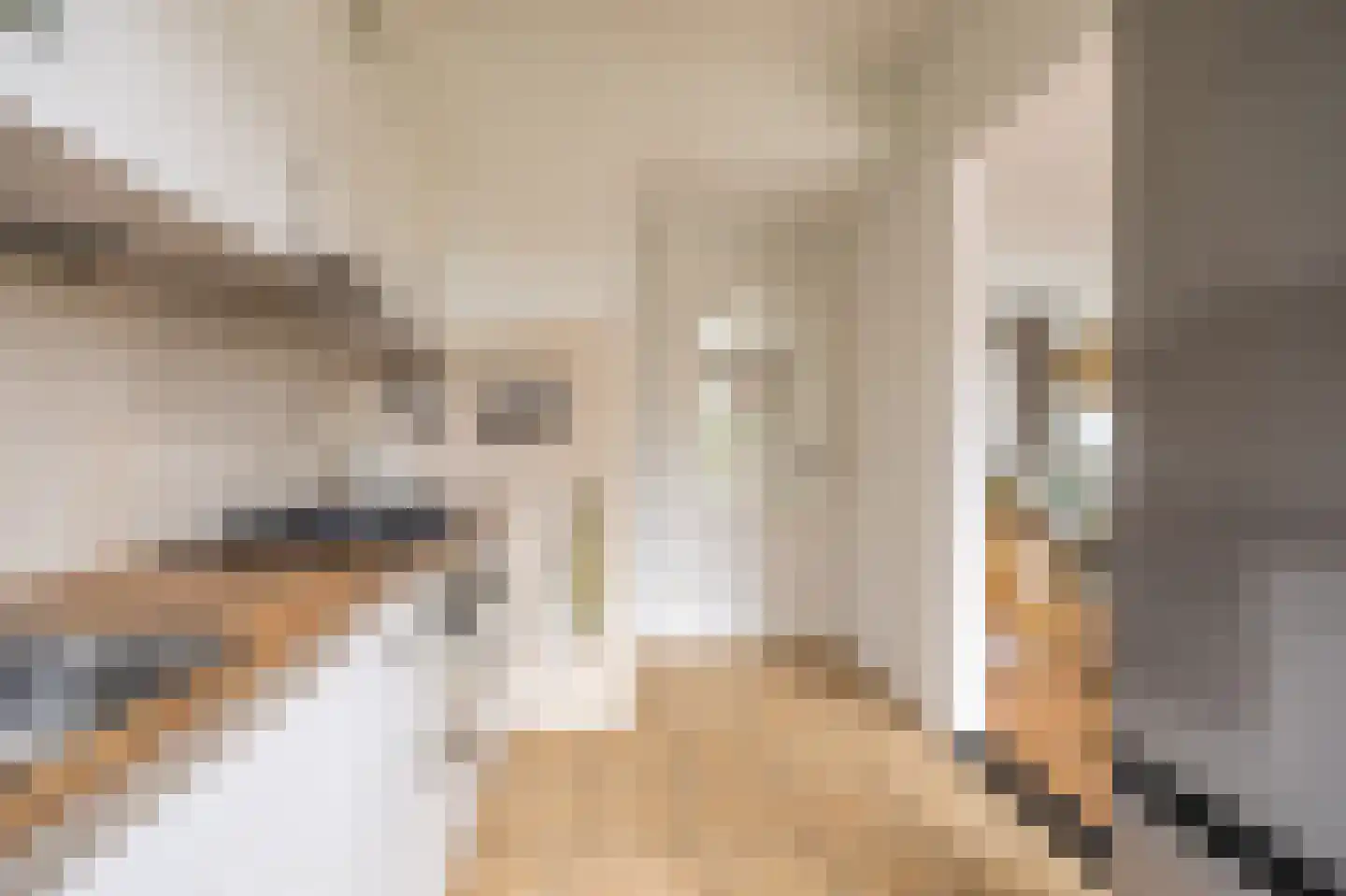 Schoolstraat 5 Hoogblokland thumbnail 10
