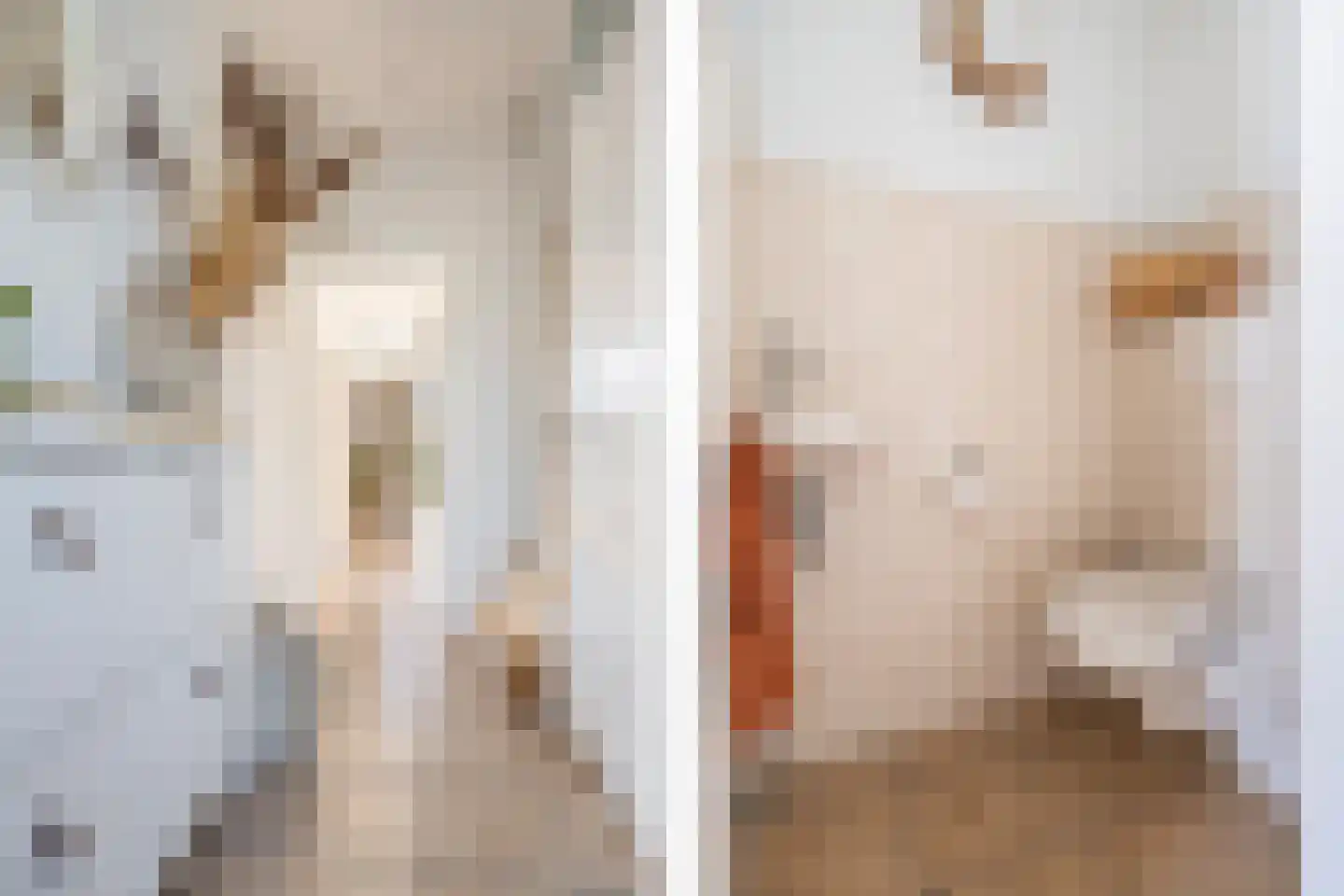 Schoolstraat 5 Hoogblokland thumbnail 12