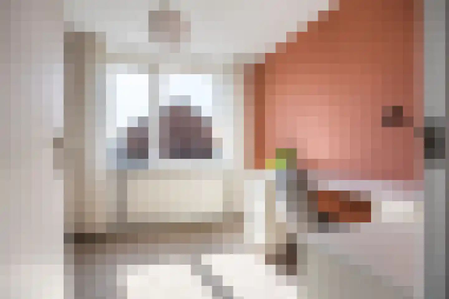 Schoolstraat 5 Hoogblokland thumbnail 19
