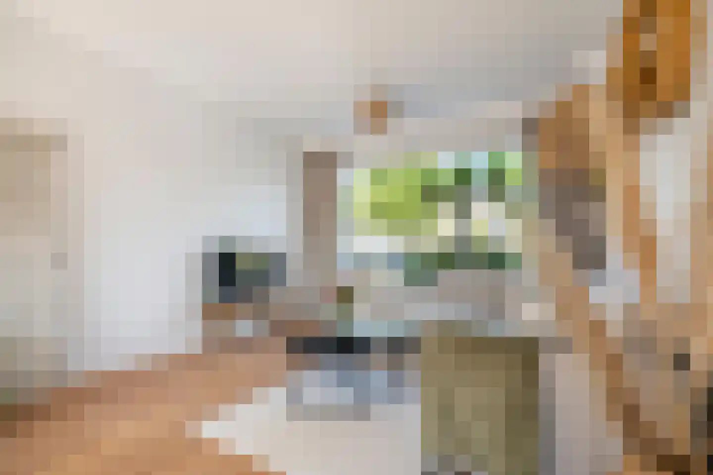 Schoolstraat 5 Hoogblokland thumbnail 6