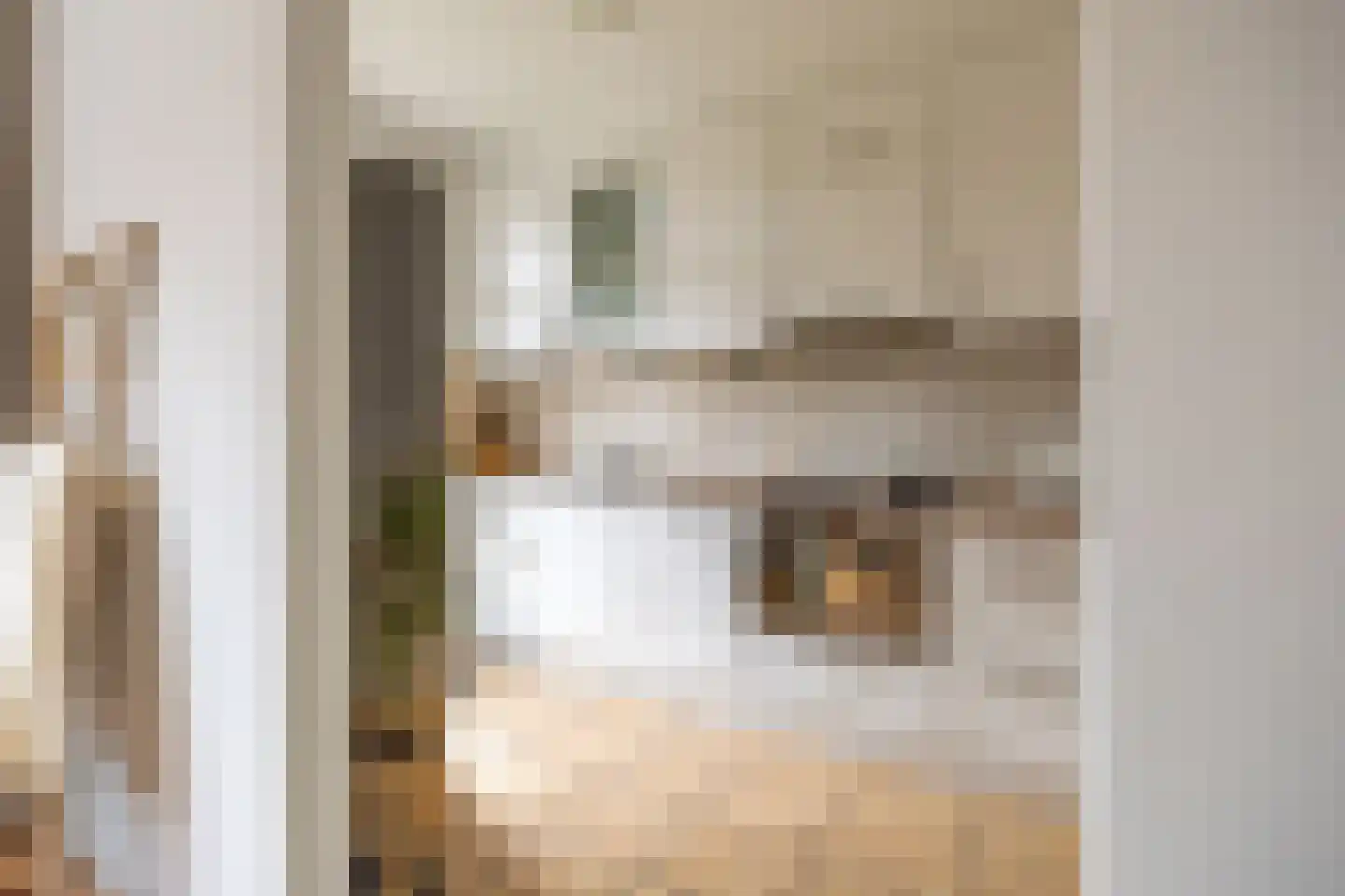 Schoolstraat 5 Hoogblokland thumbnail 8