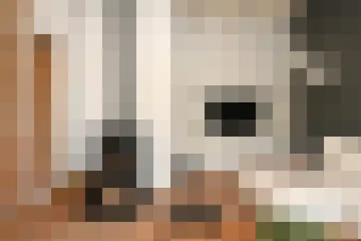 Schoolstraat 5 Nieuw-Vossemeer thumbnail 10