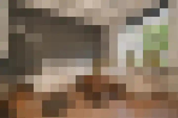 Schoolstraat 5 Nieuw-Vossemeer thumbnail 11