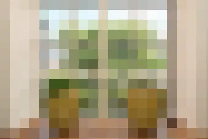 Schoolstraat 5 Nieuw-Vossemeer thumbnail 12