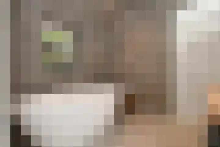 Schoolstraat 5 Nieuw-Vossemeer thumbnail 13