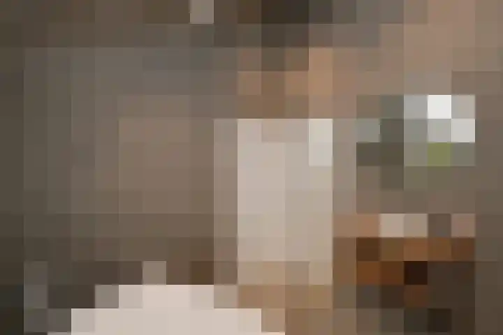 Schoolstraat 5 Nieuw-Vossemeer thumbnail 14