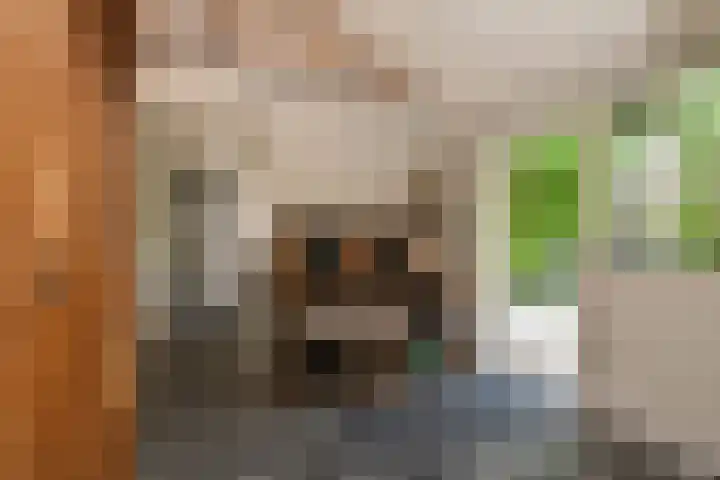 Schoolstraat 5 Nieuw-Vossemeer thumbnail 17