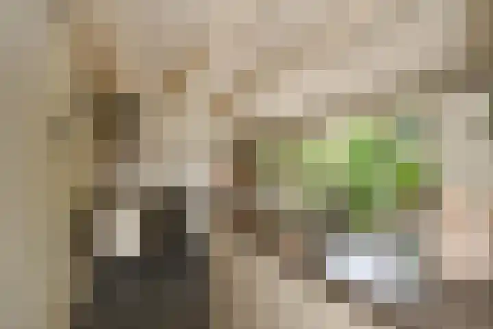 Schoolstraat 5 Nieuw-Vossemeer thumbnail 20