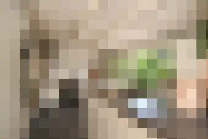 Schoolstraat 5 Nieuw-Vossemeer thumbnail 24