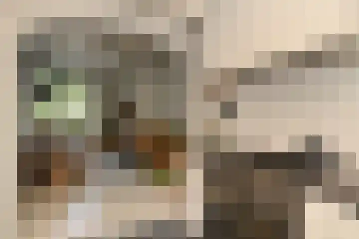 Schoolstraat 5 Nieuw-Vossemeer thumbnail 25