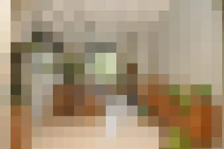 Schoolstraat 5 Nieuw-Vossemeer thumbnail 29