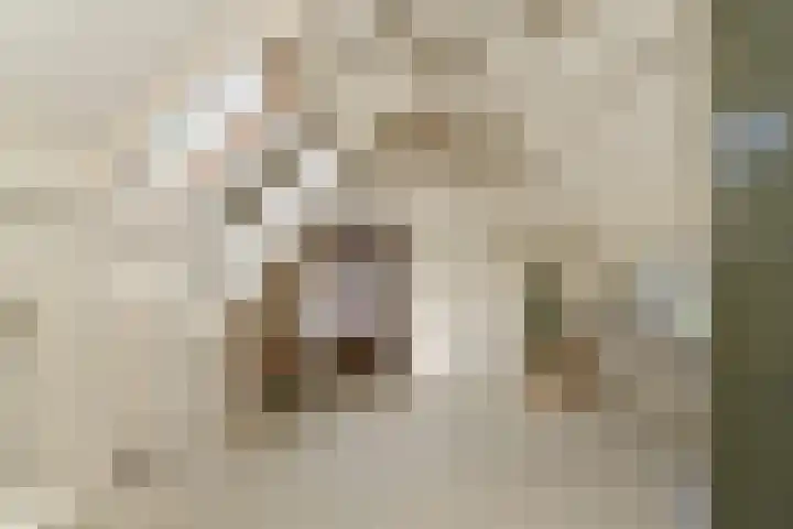 Schoolstraat 5 Nieuw-Vossemeer thumbnail 31