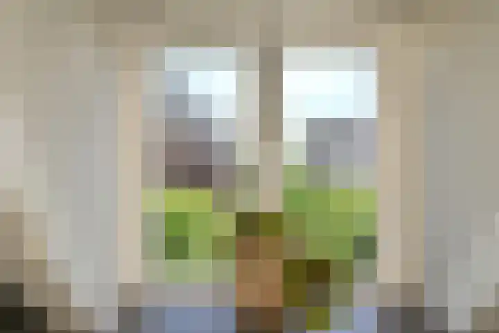 Schoolstraat 5 Nieuw-Vossemeer thumbnail 34
