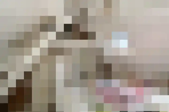 Schoolstraat 5 Nieuw-Vossemeer thumbnail 36