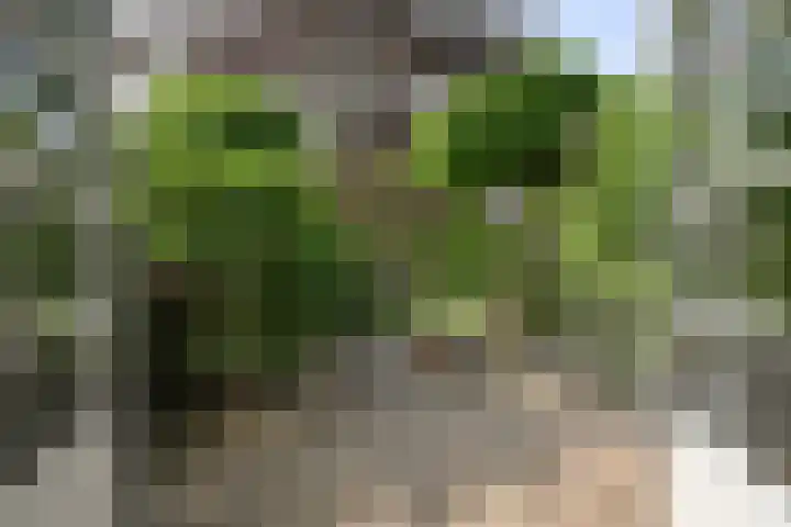 Schoolstraat 5 Nieuw-Vossemeer thumbnail 39