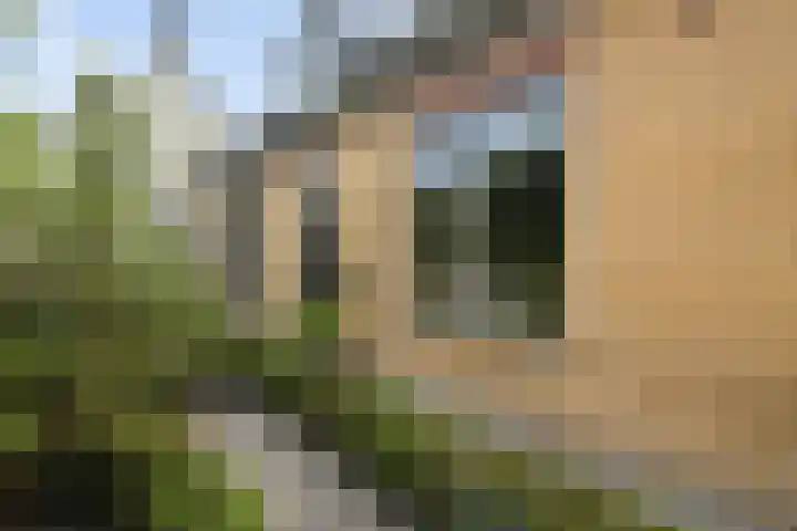 Schoolstraat 5 Nieuw-Vossemeer thumbnail 4