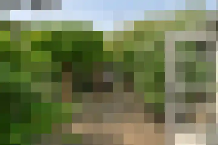 Schoolstraat 5 Nieuw-Vossemeer thumbnail 40