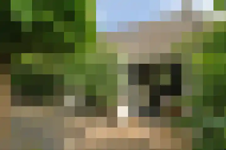 Schoolstraat 5 Nieuw-Vossemeer thumbnail 41