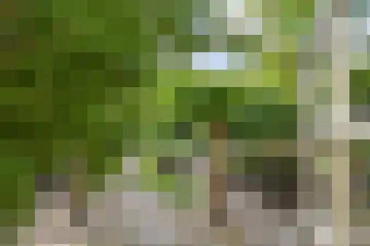 Schoolstraat 5 Nieuw-Vossemeer thumbnail 42