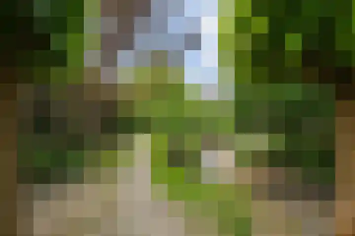 Schoolstraat 5 Nieuw-Vossemeer thumbnail 43