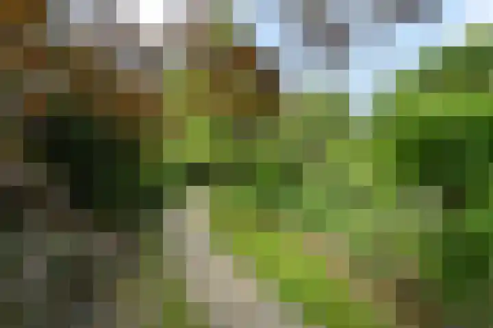 Schoolstraat 5 Nieuw-Vossemeer thumbnail 44