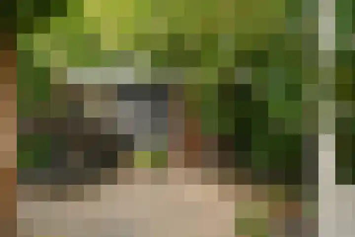 Schoolstraat 5 Nieuw-Vossemeer thumbnail 45