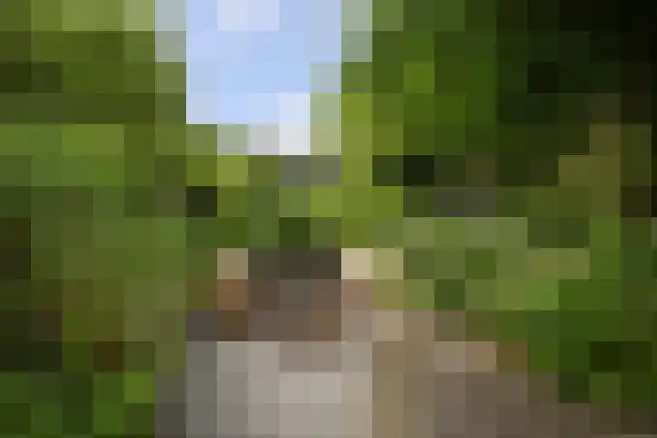 Schoolstraat 5 Nieuw-Vossemeer thumbnail 46