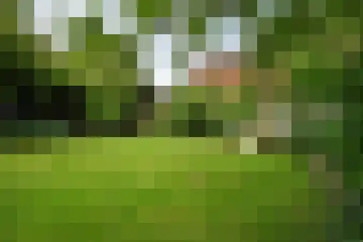 Schoolstraat 5 Nieuw-Vossemeer thumbnail 47