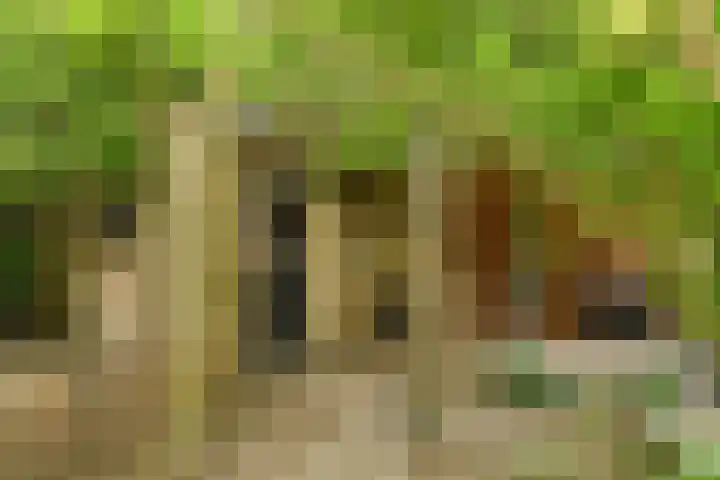 Schoolstraat 5 Nieuw-Vossemeer thumbnail 48