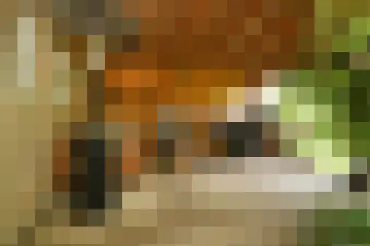 Schoolstraat 5 Nieuw-Vossemeer thumbnail 49