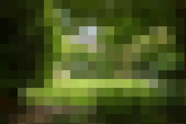 Schoolstraat 5 Nieuw-Vossemeer thumbnail 51
