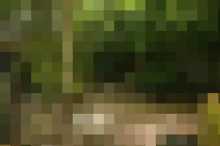 Schoolstraat 5 Nieuw-Vossemeer thumbnail 52