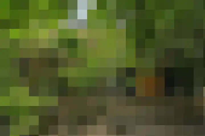 Schoolstraat 5 Nieuw-Vossemeer thumbnail 53
