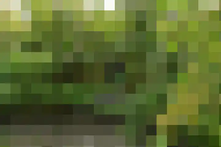 Schoolstraat 5 Nieuw-Vossemeer thumbnail 54