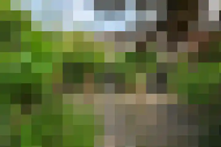 Schoolstraat 5 Nieuw-Vossemeer thumbnail 55