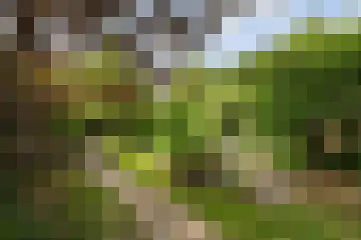 Schoolstraat 5 Nieuw-Vossemeer thumbnail 56