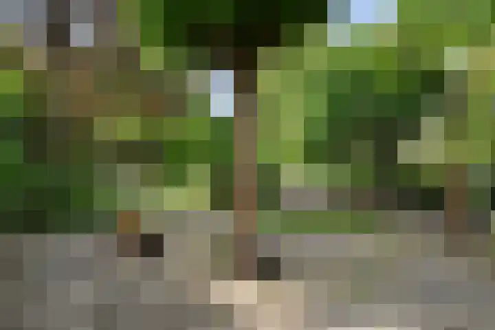 Schoolstraat 5 Nieuw-Vossemeer thumbnail 57