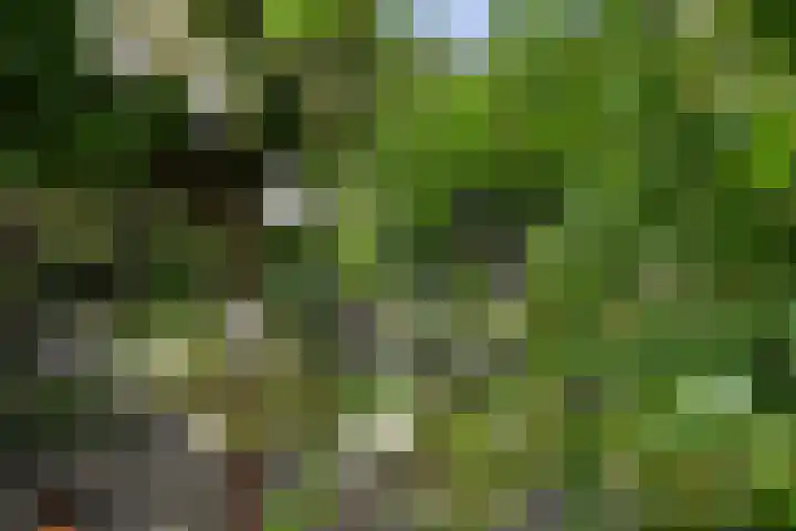 Schoolstraat 5 Nieuw-Vossemeer thumbnail 58