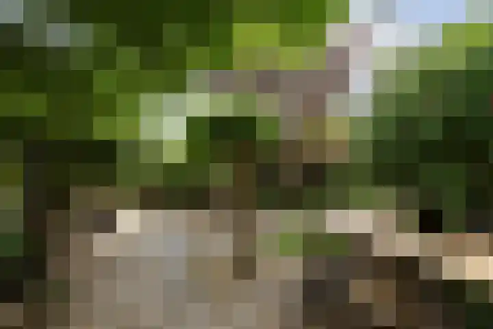 Schoolstraat 5 Nieuw-Vossemeer thumbnail 59