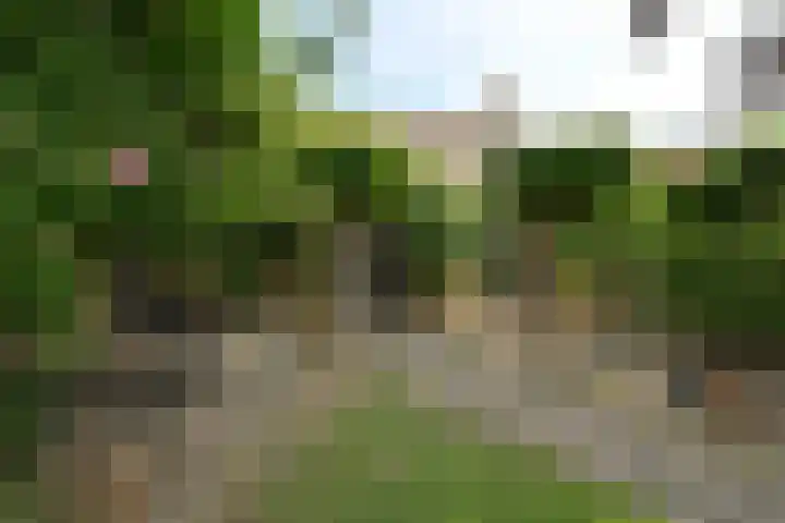 Schoolstraat 5 Nieuw-Vossemeer thumbnail 60