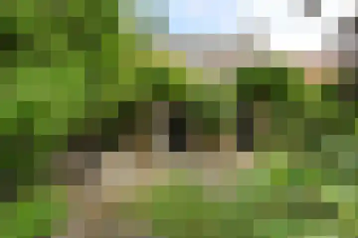 Schoolstraat 5 Nieuw-Vossemeer thumbnail 61