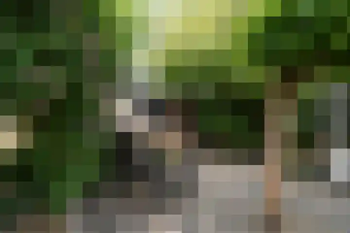 Schoolstraat 5 Nieuw-Vossemeer thumbnail 62