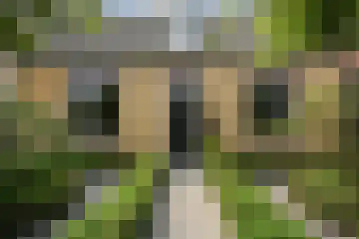 Schoolstraat 5 Nieuw-Vossemeer thumbnail 65