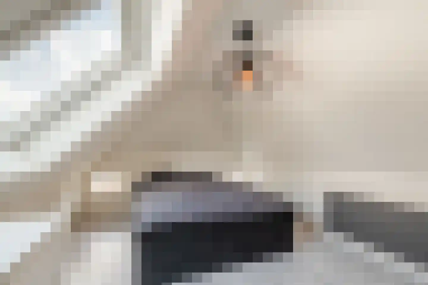 Schoolstraat 5 Pieterzijl thumbnail 33